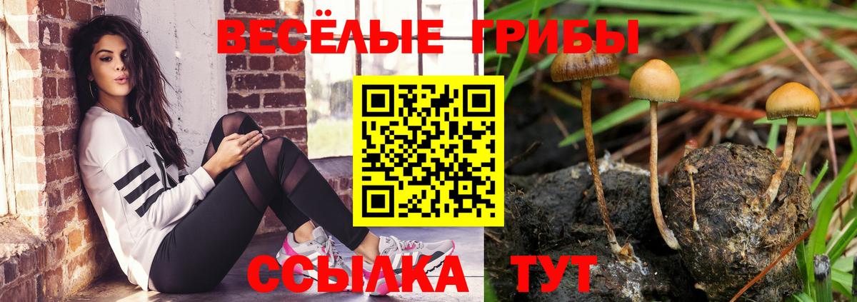Кашира  как найти наркотики  Вход с VPN  Псилоцибиновые грибы MAGIC MUSHROOMS 